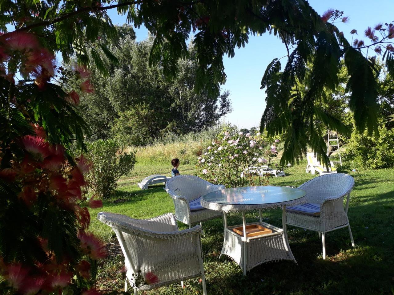 Aux Roses De L'Etang Hotel Capestang Bagian luar foto