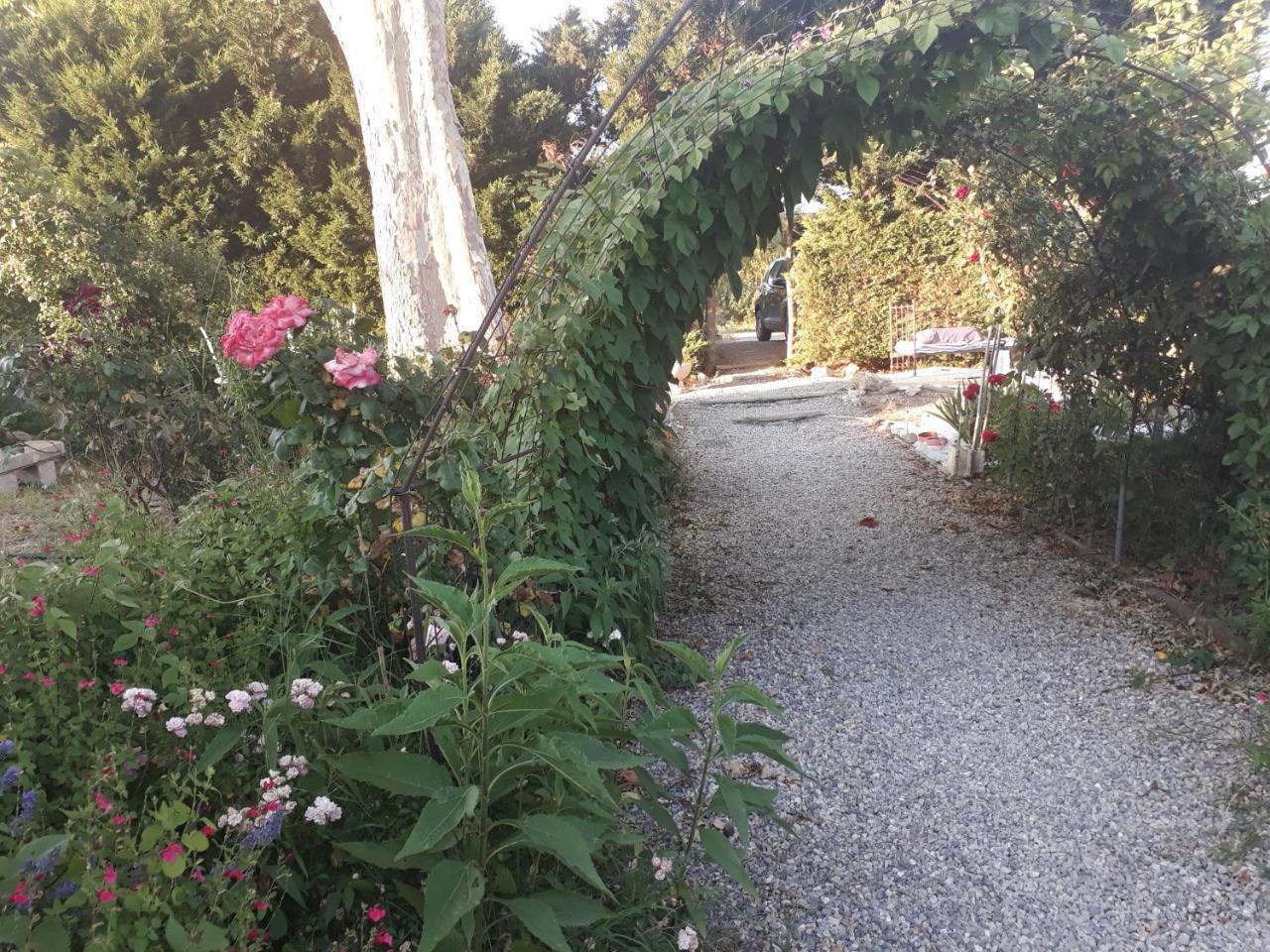 Aux Roses De L'Etang Hotel Capestang Bagian luar foto