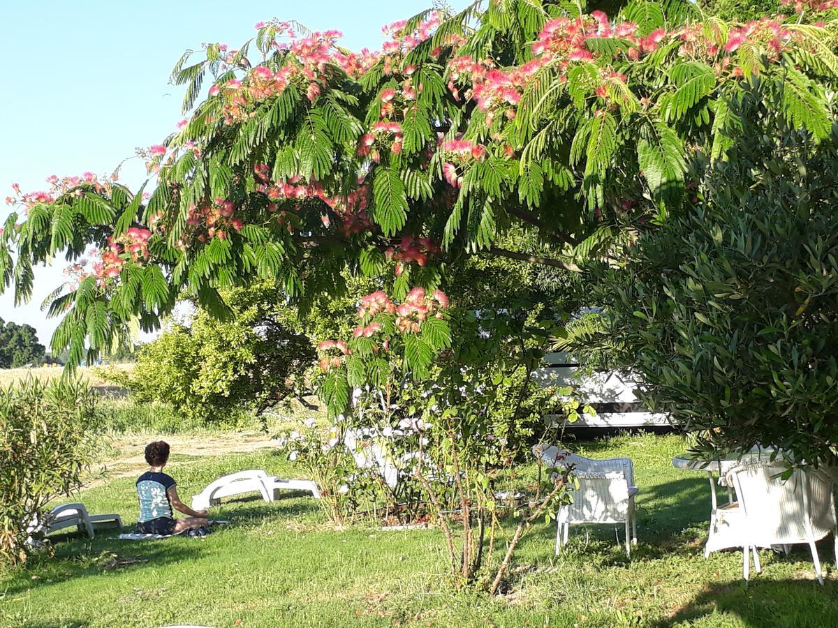 Aux Roses De L'Etang Hotel Capestang Bagian luar foto