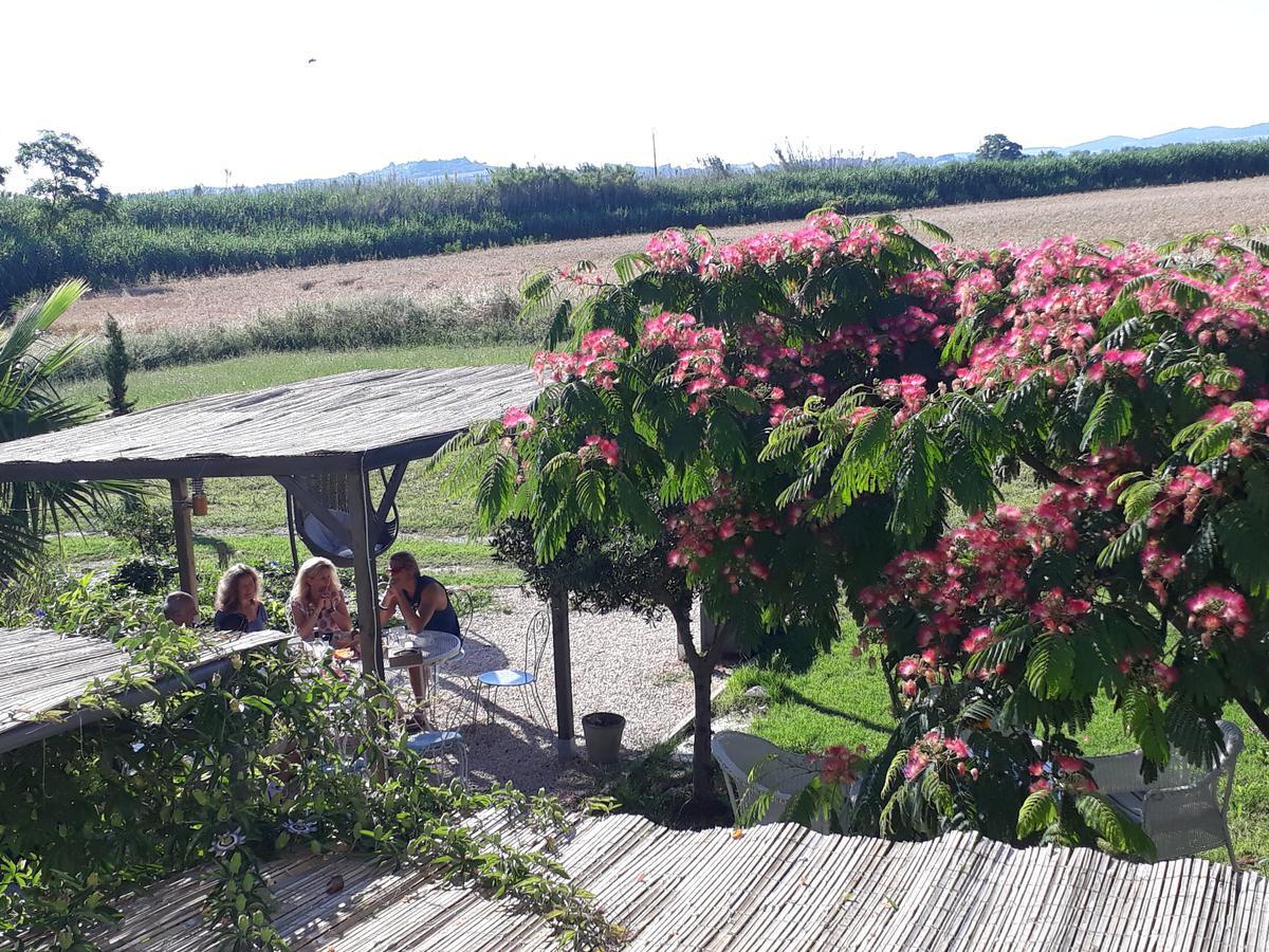 Aux Roses De L'Etang Hotel Capestang Bagian luar foto